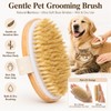 Bamboo Boar Bristle Pet Palm Brush, Wet and Dry Grooming,