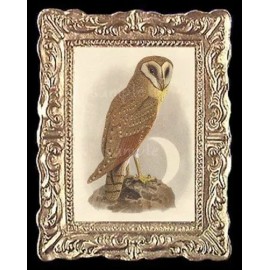 Unbranded Owl Miniature Dollhouse Doll Houses Picture