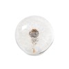 1st Heaven Real Dandelion in Glass, Eternal Dandelion Wishing Ball
