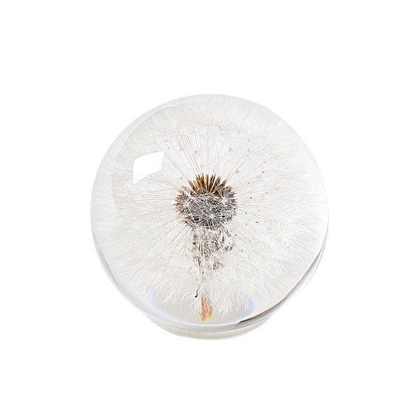 1st Heaven Real Dandelion in Glass, Eternal Dandelion Wishing Ball