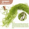 MAQIHAN Fake Spanish Moss - Artificial Moss for Plants Indoor