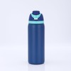 Stainless Steel Water Bottle with Straw, 24 oz, Thermal Insulated,