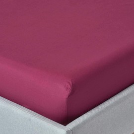 Homescapes 100% Egyptian Cotton Plain Plum Fitted Sheet Double 200 Thread Count Percale Anti Dust Mite
