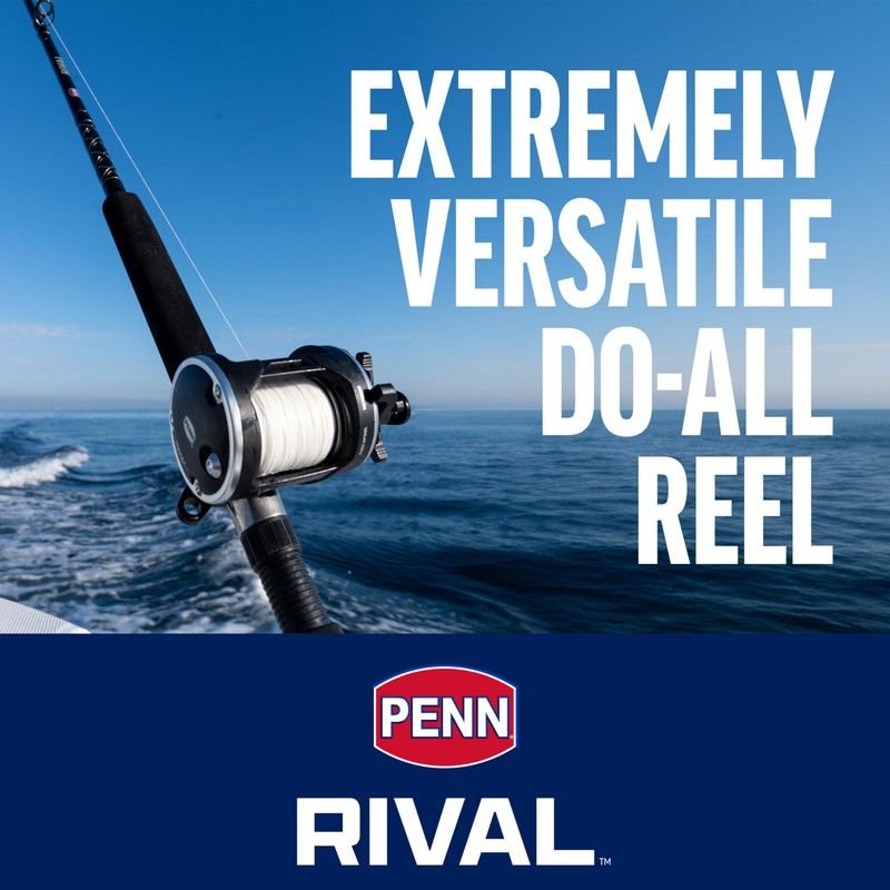 Penn Rival Level Wind - Carrete de Pesca Convencional, RIV30LW,