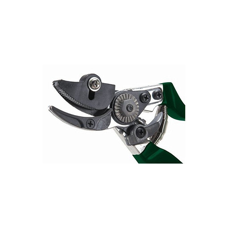 Burgon & Ball RHS Endorsed Rose Pruner, 20 cm Length