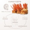 Pellets de Melena de León, Cordyceps, Cola de Pavo, Shiitake
