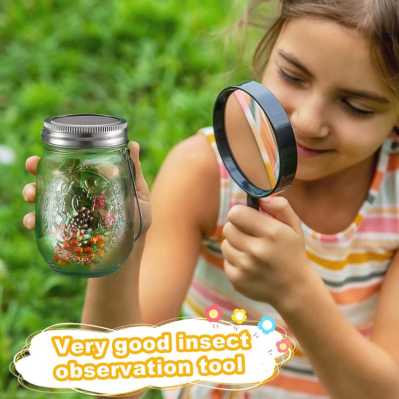 Insect Catcher Kit Bug Collecting Jar with Handle Net Indoor