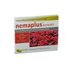 nemaplus® Compact SF nematodes for combating fungus gnats, 2 x