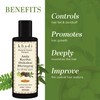 Satvayush Khadi Amla Reetha Shikakai Bhringraj SLS-Paraben free Ayurvedic Shampoo