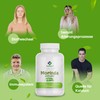 Moringa Oleifera Extract Capsules 500 mg - 60 Capsules High