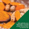 Curcumin as BCM-95® (CURCUGREEN®) 650 mg complejo de cúrcuma (500