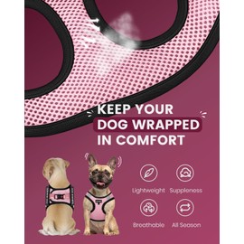 FAYOGOO Service Dog Vest for Small Breed - Lightweight Dog Harness with 6PCS Removable Patches - Puppy Harness and Leash Set for Walking,Training