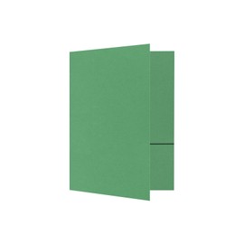 LUXPaper 9 x 12 Presentation Folders in 100 lb. Holiday Green with 2 Pockets, Holder for Standard 8 1/2 x 11 Paper, Professional Documents, Brochures, School Reports, 100 Pack (Green)