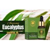 Eucalyptus Essential Oil Pure,Natural and Undiluted,30 ml