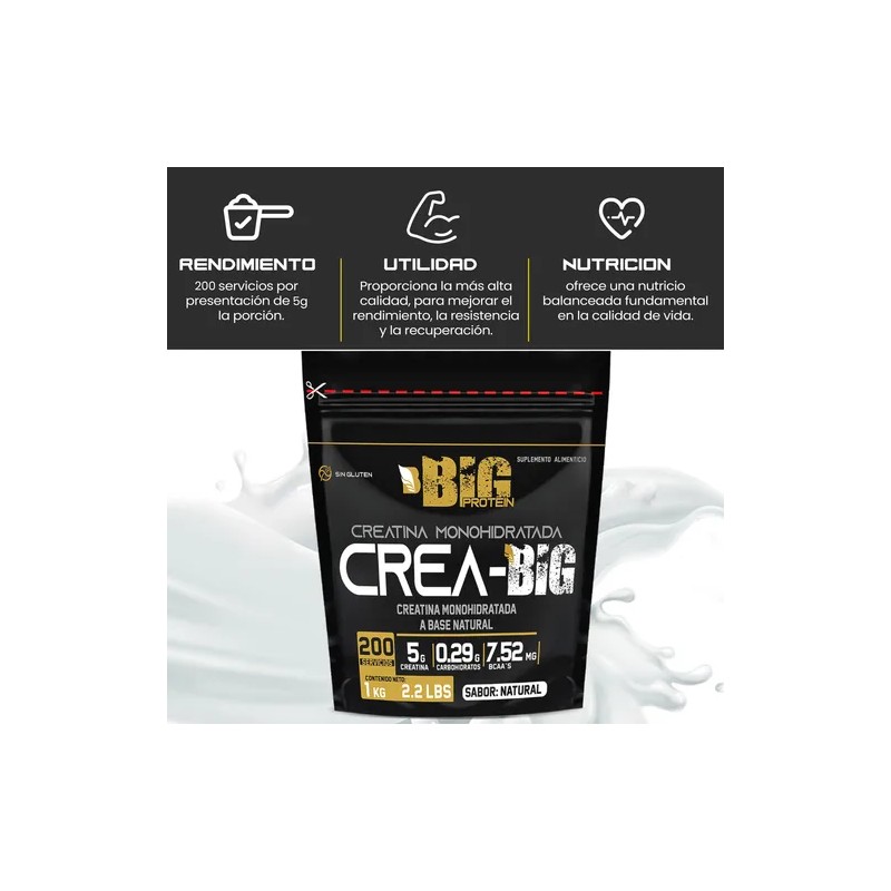 Creatina Monohidratada Big Protein 1kg Bolsa 200 Servicios