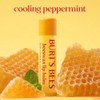 Burt'S Bees 100% Natural Moisturizing Lip Balm, Original Beeswax with