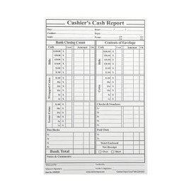 500 Cashier Depot Cashier's Cash Report Envelopes, 6" x 9", Open End, Premium, Peel & Seal Closure, 500 Envelopes (28lb. White)