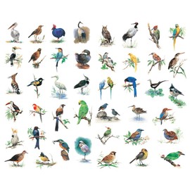 Seasonstorm Watercolor Birds Precut Cute Aesthetic Diary Travel Paper Junk Journal Stickers Scrapbooking Stationery Sticker Flakes Art Supplies (PK350)