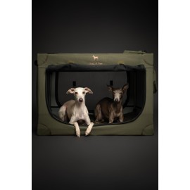 Noah & Paw Collapsible Dog Crate 30 Inches, Large Dog Crate for Large Medium Breeds, Travel Kennel for Car, Including Pet Mat for Pet Cage, 2 Storage Pockets, Handbag, 10mm Locking Zipper 30*21*21