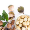 Aceite de Macadamia para Piel Grasa, Aceite de Macadamia Concentrado