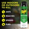 Raid House & Garden Bug Killer Aerosol Kills Bugs on