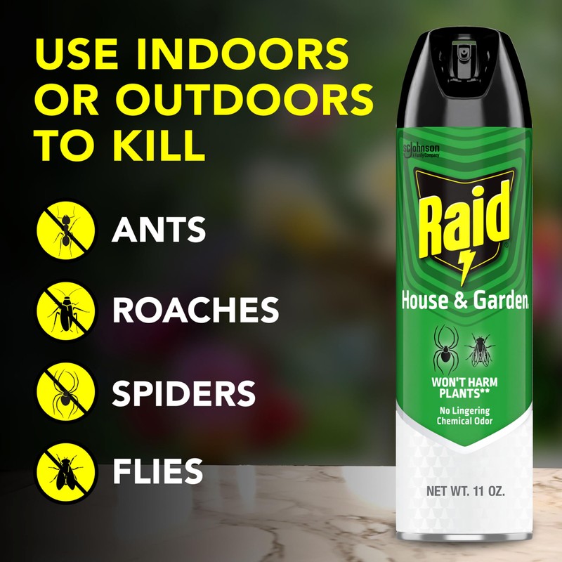 Raid House & Garden Bug Killer Aerosol Kills Bugs on