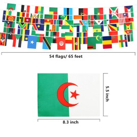 Africa African Countries String Flag,Africa African Countries Flag Bunting Banner,International Banner Decoration for School,Grand Opening,Party, Sports - 54 Flag 65 Ft