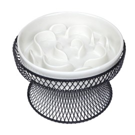 Raised Ceramic Cat Slow Feeder Bowl, Elevated Cat Plate with Stand, Slow Bowl for Wet and Dry Food, Whisker Friendly Pet Feeder for Kitten and Small Dog Perfect for Pet Gift