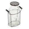 Creative Co-Op Glass vase in Metal Stand with Metal Frog