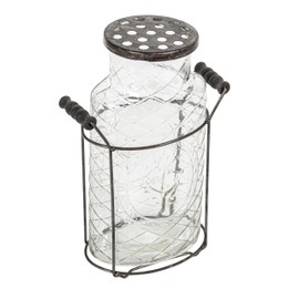 Creative Co-Op Glass vase in Metal Stand with Metal Frog Lid