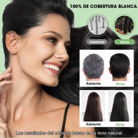 SINYI Champú Instant Hair Color para Cabello 500ml，Champú para Teñir el Cabello，Cobertura 100% de Canas，3 en 1 champú con tinte natural para el cabello（negro）