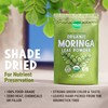 MAJU's Organic Moringa Powder (1 Pound), Oleifera Leaf, Extra-Fine Quality,