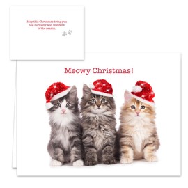 Canopy Street Christmas Cats Holiday Card Assortment Pack / 25 Seasonal Kitten Greeting Cards And Envelopes / 5 Sleeping Santa Animal Designs And Christmas Messages