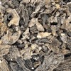 Morel Mushrooms Dried 100g Bag