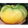 Seeds4planting - Seeds Snow Great White Beefsteak Tomato Giant Heirloom