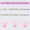 Lash Clusters 40D LAUBESS Colored Eyelash Clusters Pink Individual Lashes