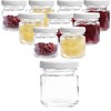 mikken 10 Small Preserving Jars 53 ml with Lids White
