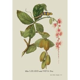 BuyEnLarge Blue Lizard and Neva Tree - 12x18 Art Poster by J. Forbes