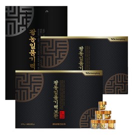 Guangdong Ilpum Energy Restoration 60 pills x 2 gift shopping bags included / 광동 일품기력보환 60환 X 2개 선물용 쇼핑백 포함