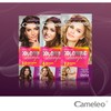 Cameleo - Coloring Shampoo - Sweet Toffee - Quick and