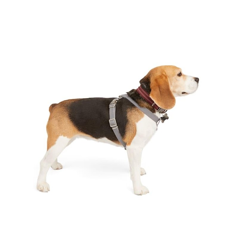 Reddy Grey Reflective Dog Harness, Medium