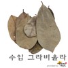 Imported graviola 250g, Anonamuracata / 수입 그라비올라 250g, 아노나무라카타