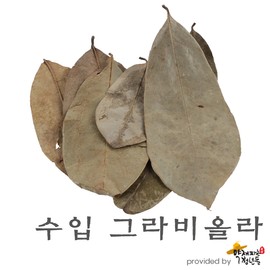 Imported graviola 250g, Anonamuracata / 수입 그라비올라 250g, 아노나무라카타