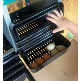 RNL RabbitNippLes.com 3 Hole Chicken Nesting Boxes Metal Chicken Egg Laying Nest Box with Perch