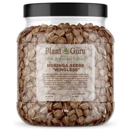Moringa Seeds Wingless 1 lb. Wide Mouth JAR - PKM1 Variety - Edible Snacking - Planting - Moringa Oleifera - Malunggay - Semillas De Moringa - Drumstick Tree - Non-GMO - 1600 to 2000 Seeds