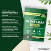 Olive Leaf Extract Capsules 20,000mg | Wild European 20% Oleuropein