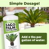 Sago Palm Fertilizer, Complete Liquid Sago Palm Plant Food, 32
