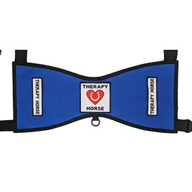 The Raspberry Field LLC Therapy Horse Vest #1 - Deluxe (Size 2 (Height 25"-30" at Withers), Teal)