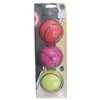 HUNTS COUNTY FREEWAY SOFT TRAINING CRICKET BALL SET