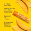 Burt's Bees Bálsamo Labial Sabor a Frutas - Superfruit Lipbalm